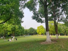 -重庆彩云湖湿地公园