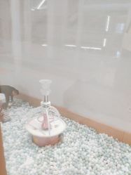 -超级奈尔宝SUPER NEOBIO(杭州星光店)