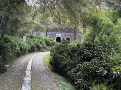-镇江市南山风景名胜区竹林景区