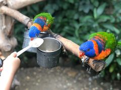 -南宫五洲植物乐园