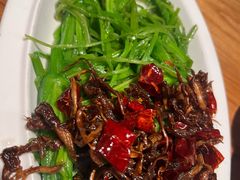 -缘生态云南菜·野生菌庭院餐厅(华侨城店)