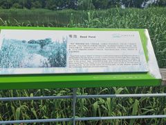 -西湖风景区-江洋畈生态公园