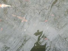 -开元溶洞