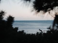 -青岛海滨风景区