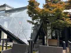-禧宴Joyous Restaurant(禧园店)