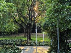 -黄埔荔枝公园