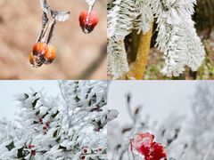 -长沙黑麋峰国家森林公园