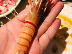 -Mr·Fish鱼鲜生海鲜放题(银泰in99店)
