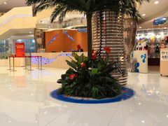 -南宫温泉水世界