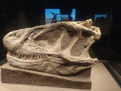 -自贡恐龙博物馆