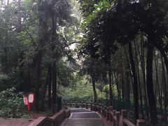 -灵岩山风景区
