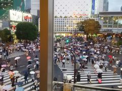 -涩谷区