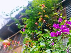 -零陵古城