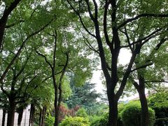 -上海虹桥迎宾馆
