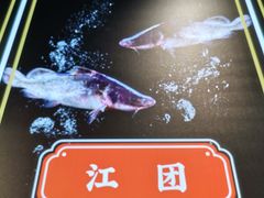 -蛙一刀·麻椒鱼火锅(金仙桥店)