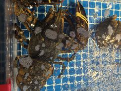 -驻海渔市(置信店)