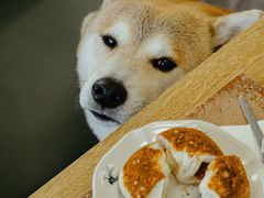 -THE PLAN_T COFFEE ROASTER(定岗湖公园店)