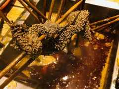 -老徐烧烤涮肚(交道口店)