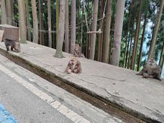 -太阳湾风景区