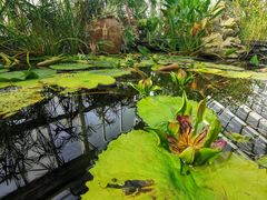 -国家植物园南园