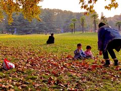 -河南省黄河迎宾馆
