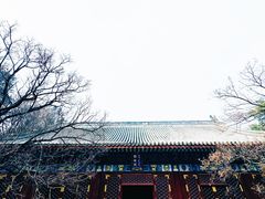 -香山公园