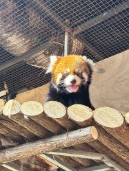 -Zoolung Zoolung动物主题公园(海信广场店)