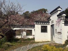 -无锡梅园公园