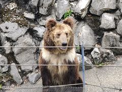 -成都动物园