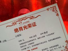 -米苏动物医院·犬猫专科·骨科外科内窥镜