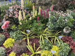-东莞植物园