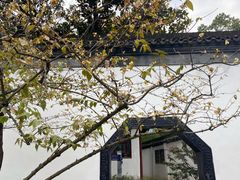 -上海醉白池公园