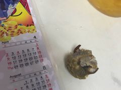 -好好栗子店(海宁总店)