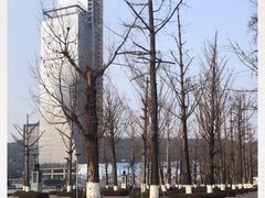 -两江幸福广场