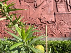 -广州神农草堂中医药博物馆