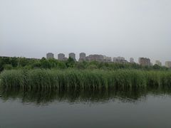 -前关湿地公园