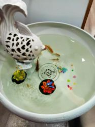 -美凰芳华悦颜产后健康管理中心
