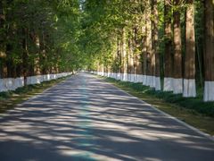 -黄海国家森林公园