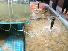 -和源祥·日照菜扛把子(万平口一店)