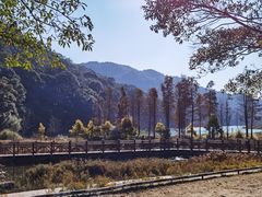 -广州市石门国家森林公园
