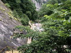 -青峰峡国家森林公园