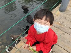 -长白岛森林公园