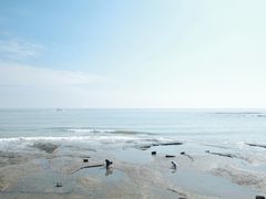 -日照灯塔风景区