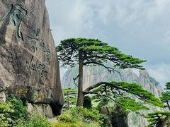 -黄山风景区