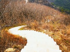 -金龙寺国家森林公园