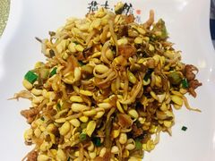 香椿炒黄豆芽-燕青小馆(东园大厦店)