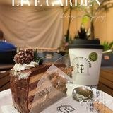 筑花园网红宝藏咖啡店[加油]