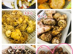 -山大王菌莊