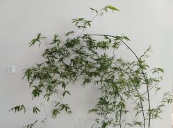 -颜蕾医美·黄金微针·水光·玻尿酸·超声炮·抗衰中心