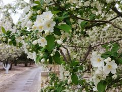 -元大都城垣遗址公园